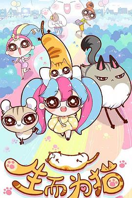 黄冈网站推广优化报价